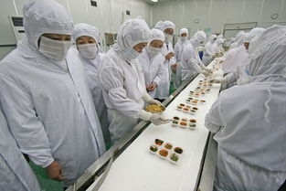 河北食品企業(yè)QS許可審查咨詢認(rèn)證與教育咨詢服務(wù)全解析